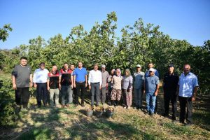 Vali Şıldak Havran’da İncir Hasadına Katıldı