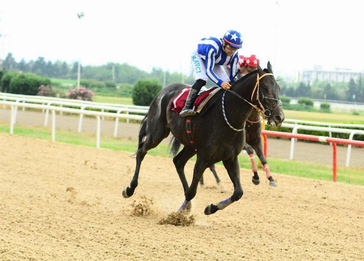 TSYD Bursa Koşusu’nun galibi Litecoin oldu