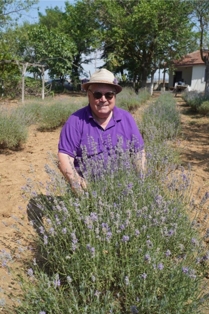 CHP’li Değirmendereli’nin hedefi lavanta ekimini yüzlerce dekara çıkarmak