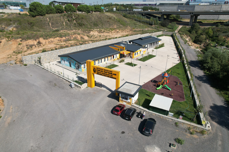 Çayırova’da 10 ayda 170 can dosta yuva bulundu