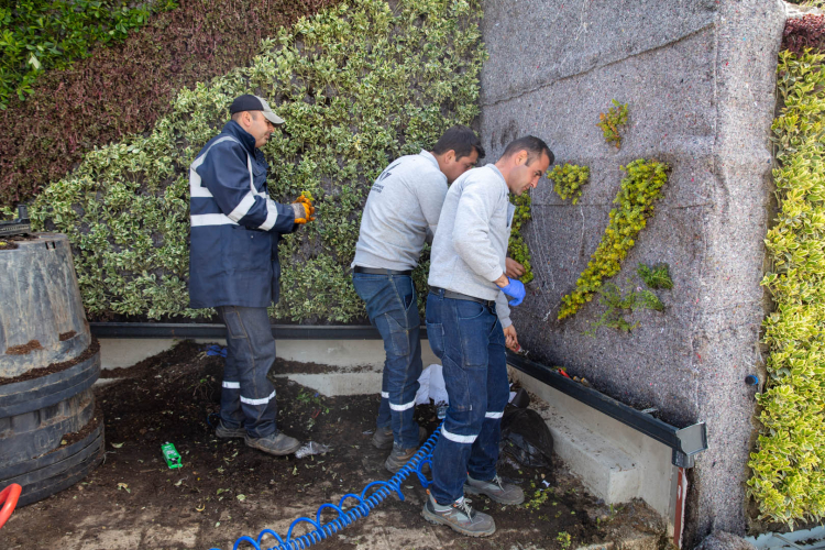 İzmir’de Güzelbahçe çiçek açtı