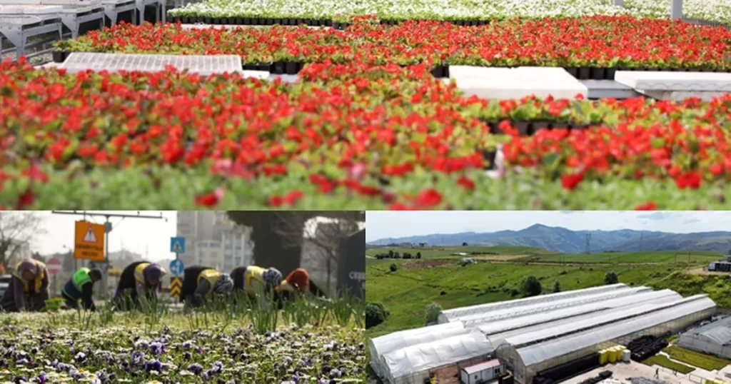 Çöpler çiçek oldu, şehri renklendirdi