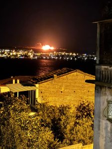 AYVALIK’TA CUNDA ADASI’NDA KORKUTAN YANGIN