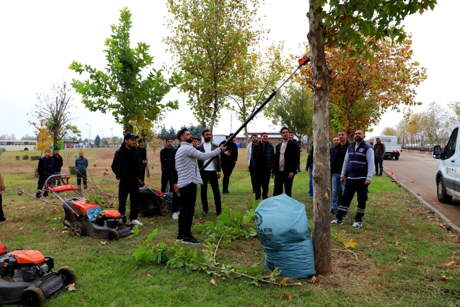 Diyarbakır’da üniversite öğrencileri sahada budama tekniklerini uygulamalı öğrendi