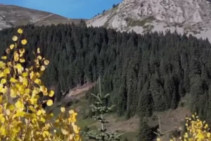 Ilgaz Dağı sonbaharda renk cümbüşü