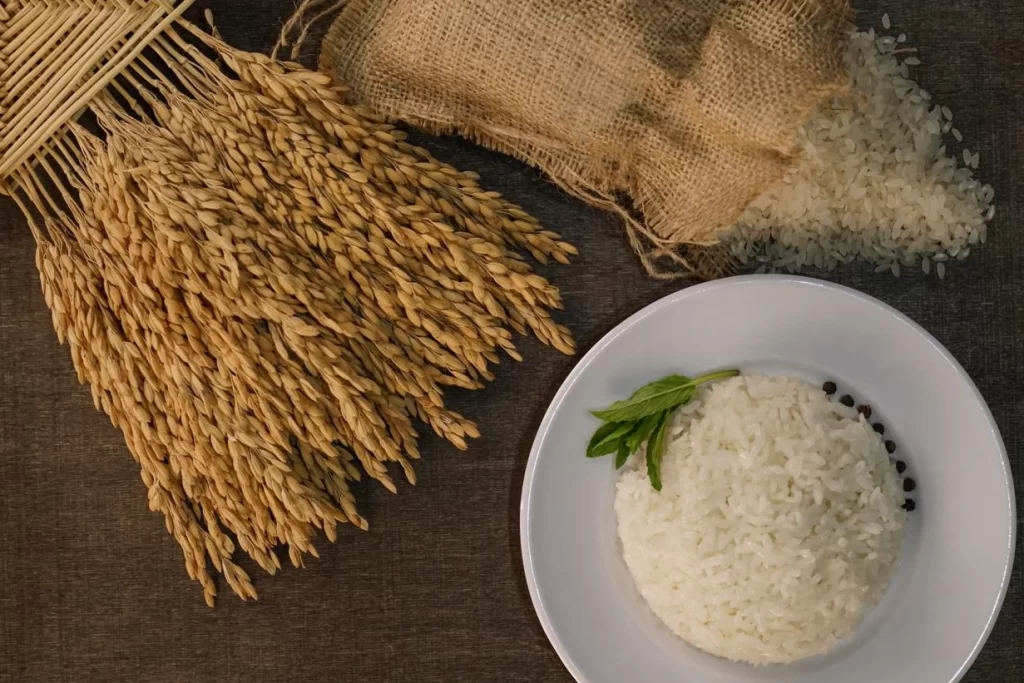 İpsala Pirinci’ne AB tescili… Trakya’nın ilk ve tek AB coğrafi işaretli ürünü