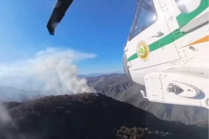 İran’daki orman yangınlarına Türkiye’den destek