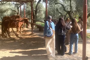 İzmir Narlıdere’de gönüllülere teşekkür