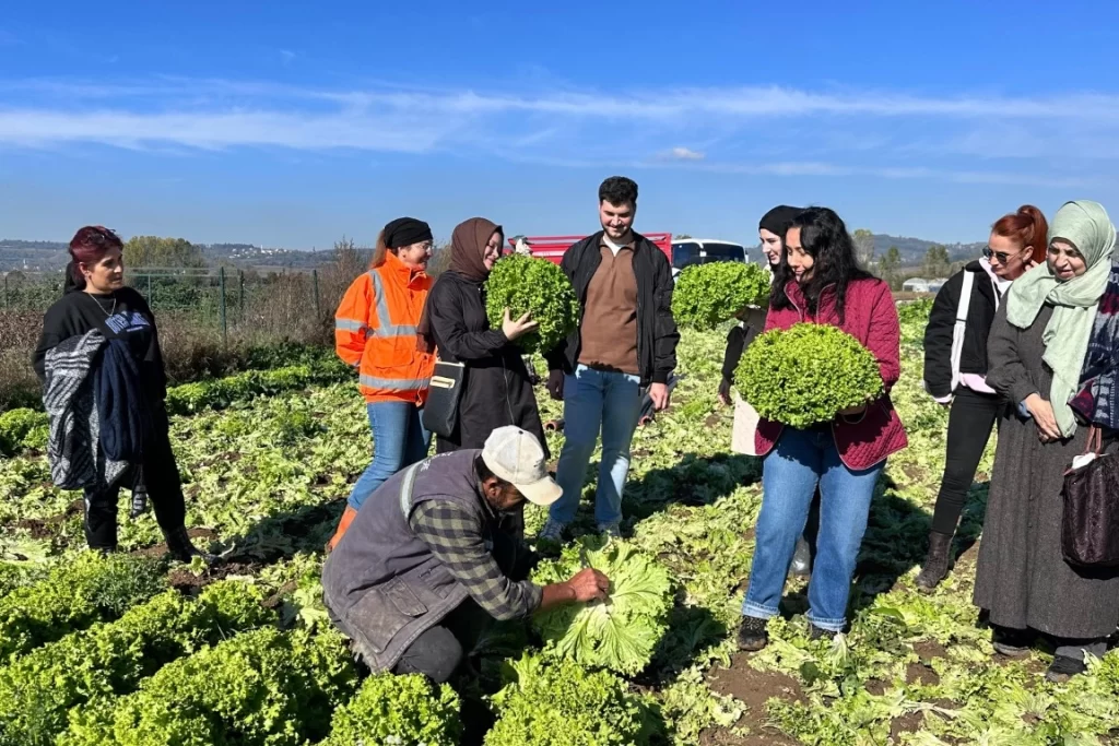 Kocaeli Büyükşehir’den aday çiftçilere uygulamalı tarım eğitimi