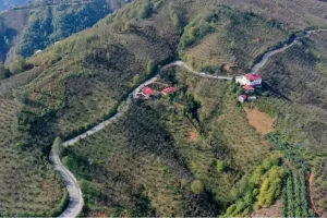 Ordu Tepeköy’de asfalt sevinci