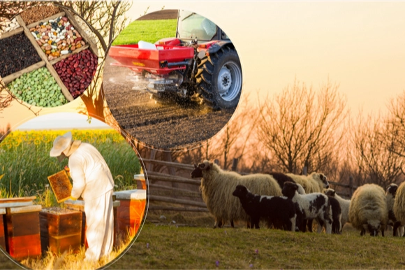 2 milyar TL’lik tarımsal destek hesaplarda