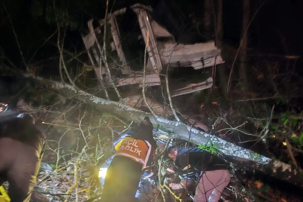 Düzce’de tomruk yüklü tır uçuruma yuvarlandı