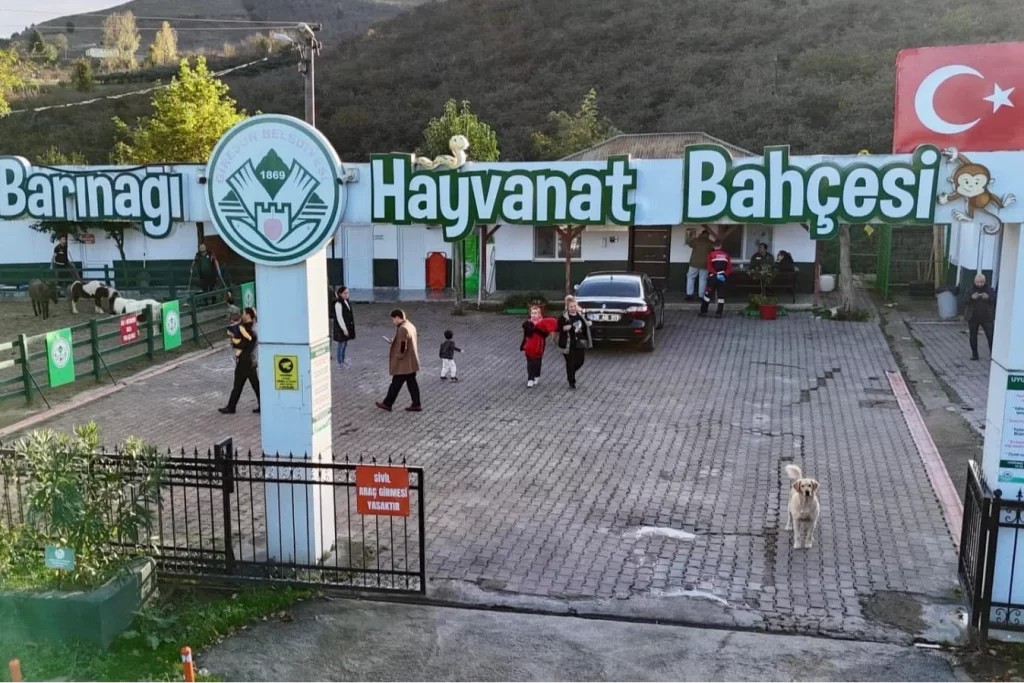 Giresun Hayvan Barınağı 2025’e damga vurdu