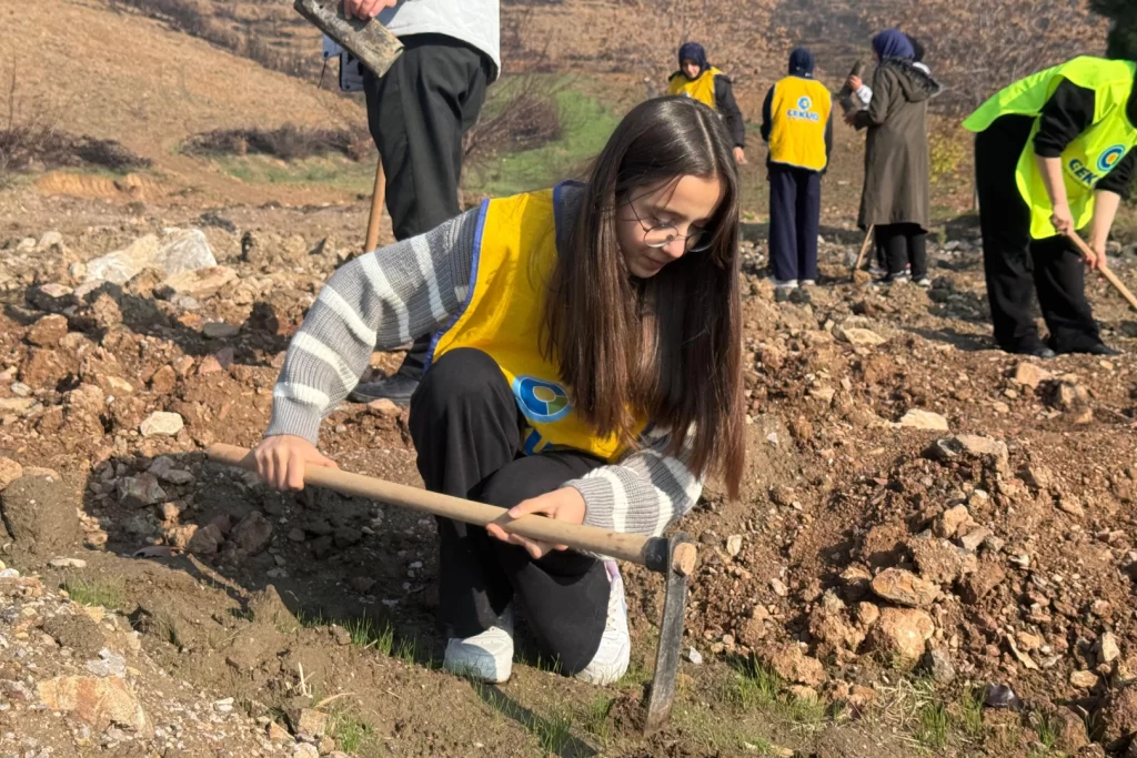 Gürsu’da yanan ormanlar yeniden yeşeriyor… 15 bin fidan toprakla buluştu