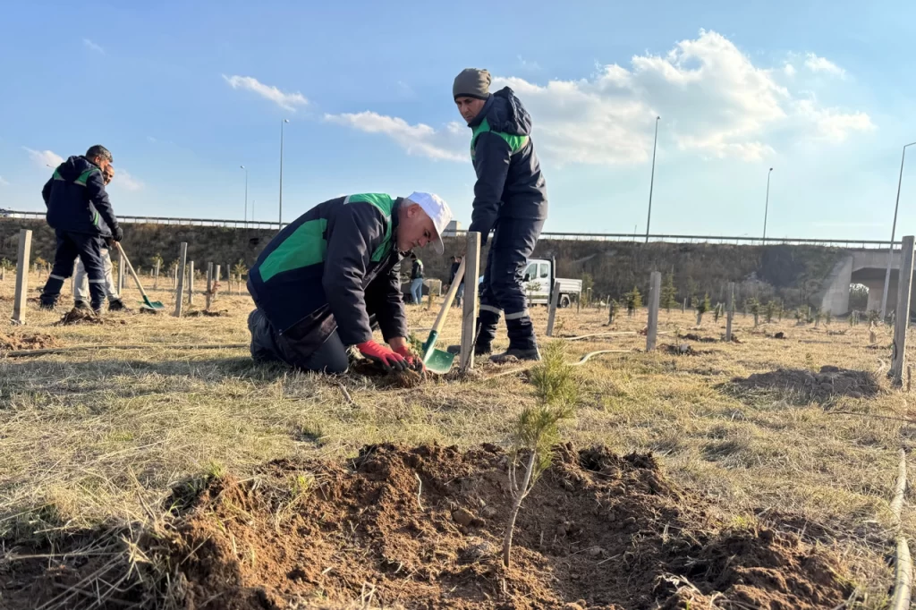 Kayseri Büyükşehir’den kentin yeşil alan varlığına destek
