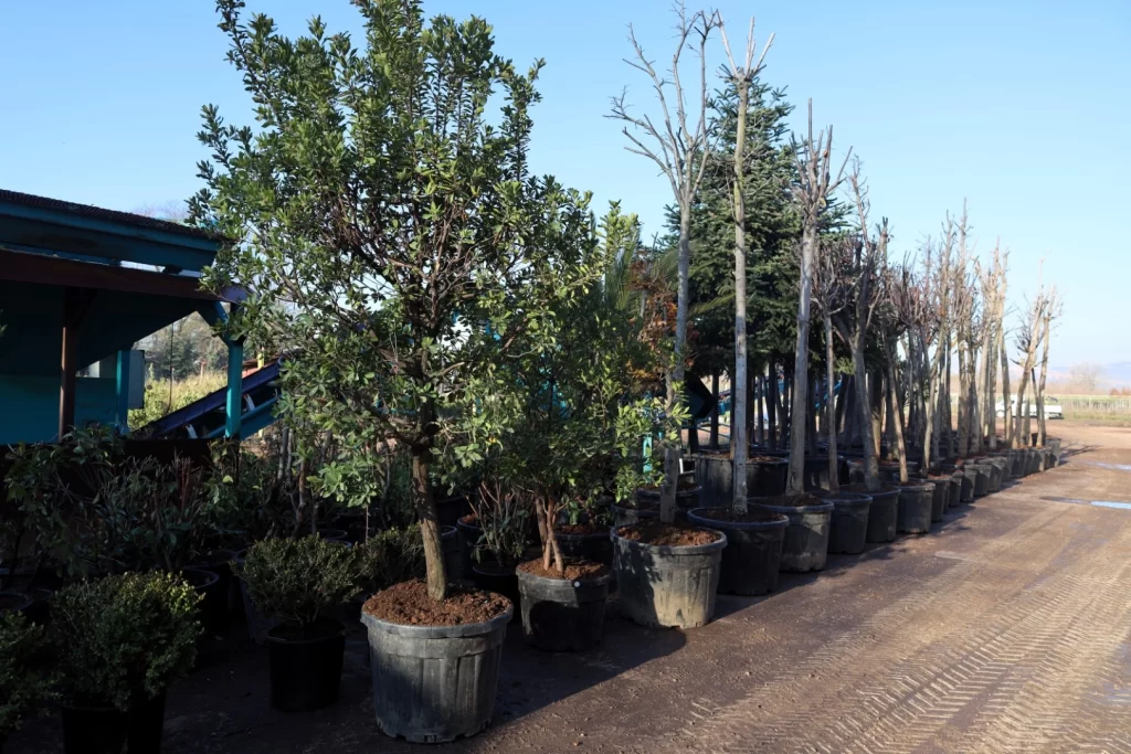 Kocaeli’de torf üretimi ile 50 milyon lira tasarruf sağlanıyor