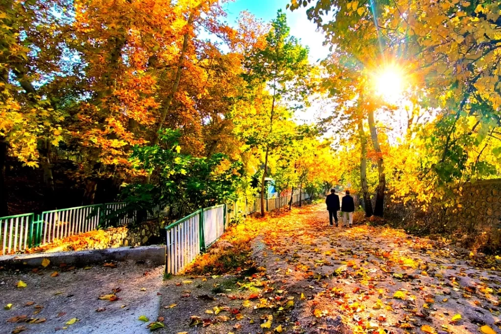 Mardin Yeşilli’de sonbahar büyüsü (Özel Haber)