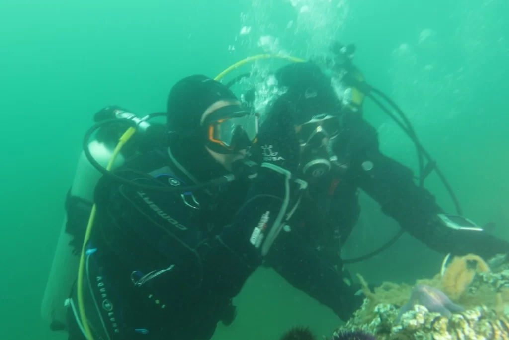 Kocaeli’de İzmit Körfezi artık nefes alıyor