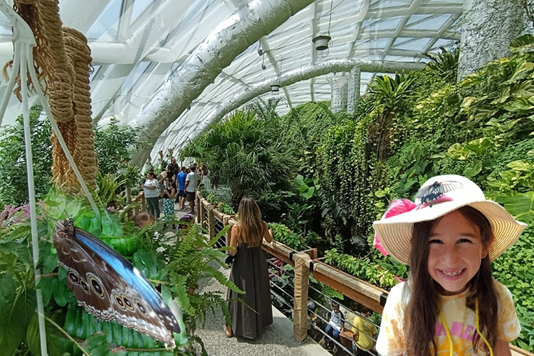 Konya’nın tropikal turizm yıldızı… 2025’te de ziyaretçi akınına uğradı