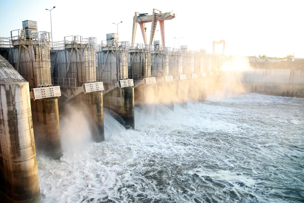 Sakarya’da 716 bin ağaç dikimine eş değer üretim… SASKİ’den 2025’te çifte rekor