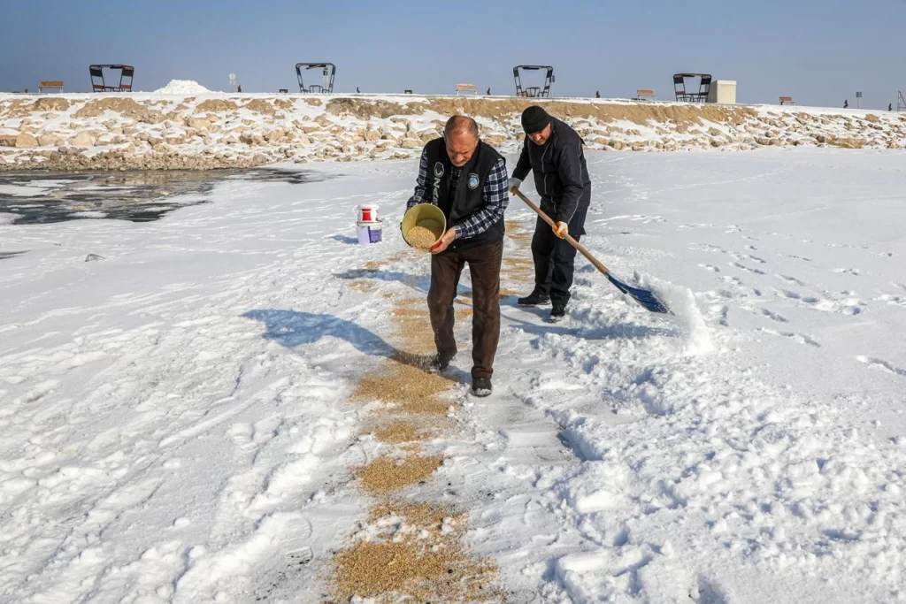 Van’da kuşlar için doğaya yem bırakıldı