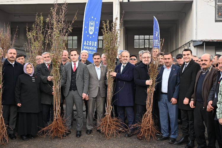 Bursa’da dağ yöresi meyvecilikle kalkınıyor