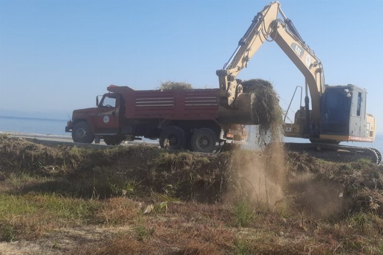 Muğla Milas’ta mevsimlik bakım ve budama