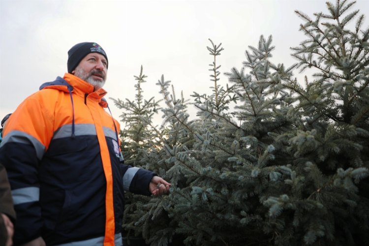 Kayseri Kocasinan’da herkese bir dikili ağaç!