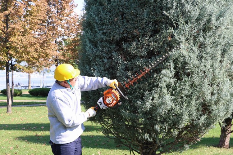 Kocaeli’den ağaçlara estetik dokunuş