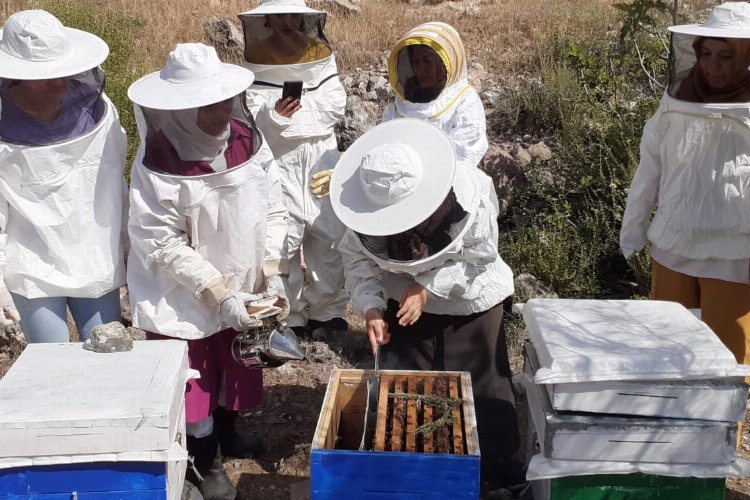 Manisa’da arıcılara kışlatma eğitimi