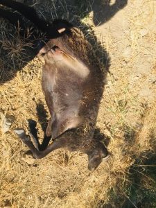 VATANDAŞI MAGDUR ETTİLER