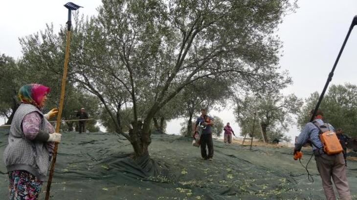 Balıkesir’in zeytinleri, komando ve kameralarla korunacak