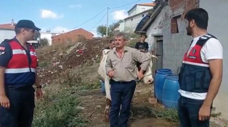 Çiftçinin çalınan hayvanlarını JASAT buldu; 1 tutuklama