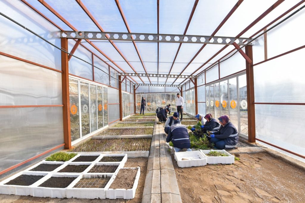 KARESİ BELEDİYESİ ÇİÇEKTEN TASARRUF EDİYOR