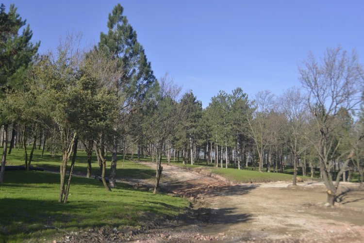 Bursa’da ‘Yeşil Yıldırım’ hamlesi