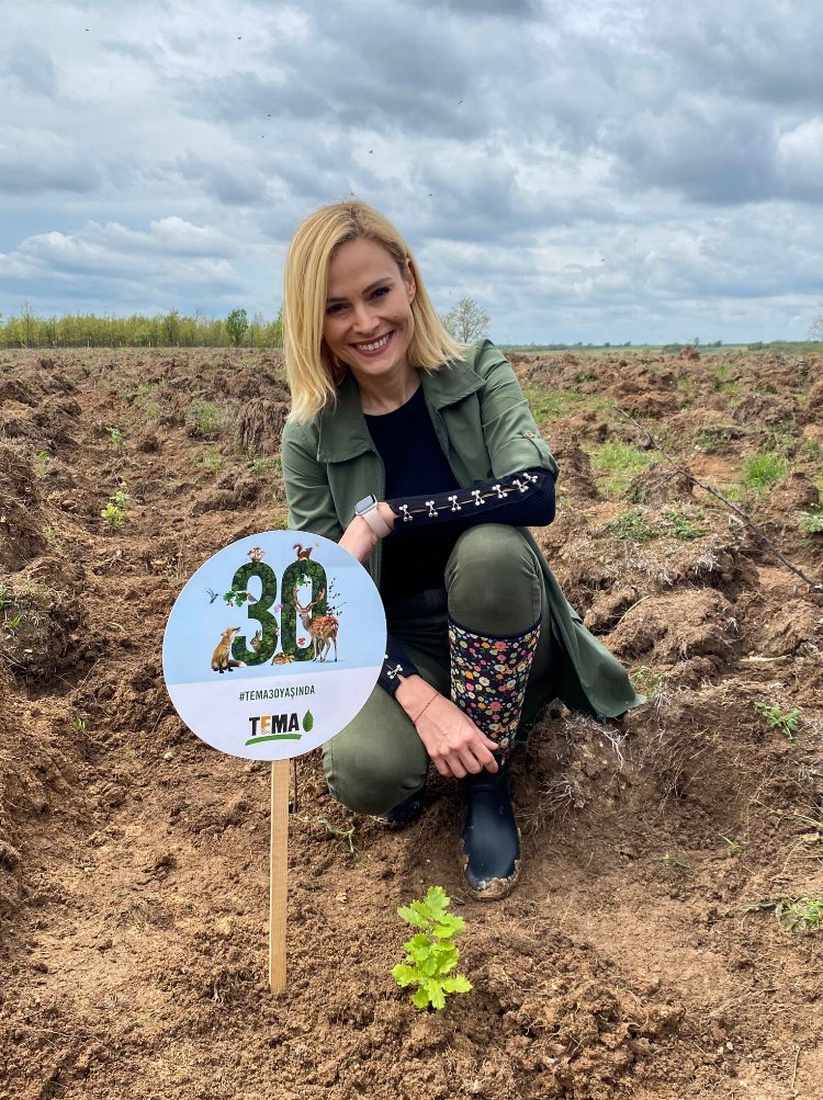 Bağışlar ormana dönüştü