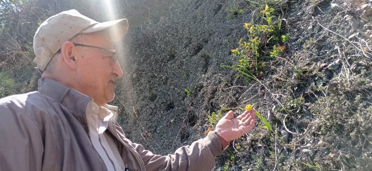 Bu çiçeği koparmanın cezası 245 bin TL!