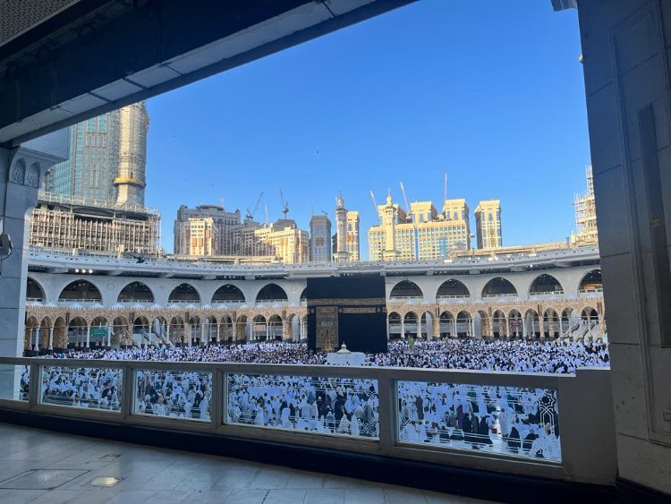 Hac iaşelerinde Marmarabirlik zeytini