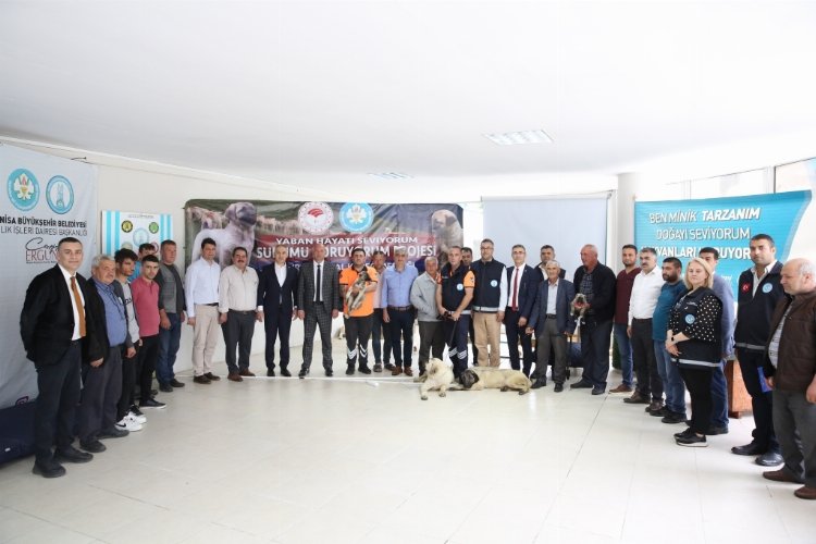 Manisa’da hayvan yetiştiricilerine kangal desteği