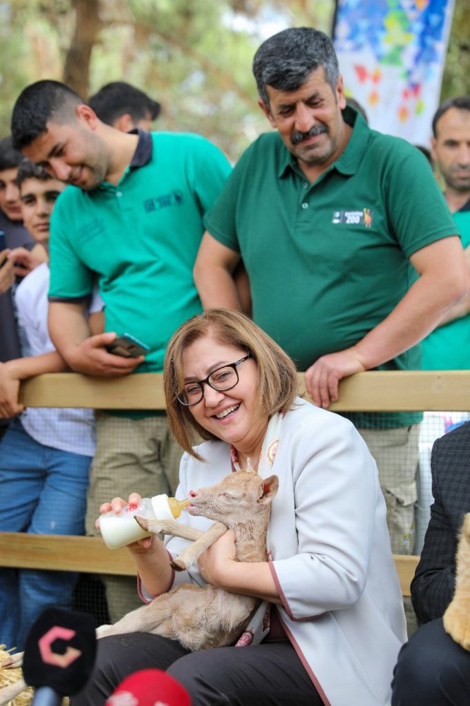 Sudan hediyesi aslanların dördüzleri oldu!