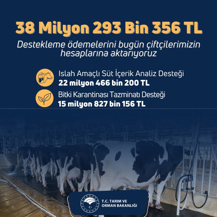 Üreticiye 38,3 milyon TL bugün hesaplarda