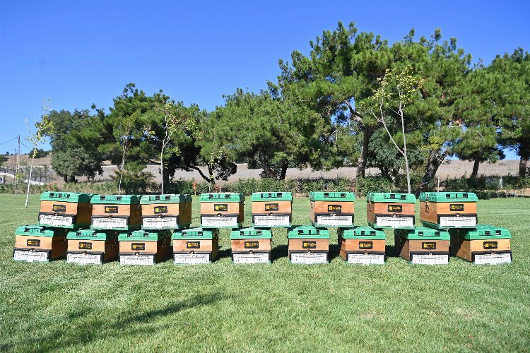 20 bin kraliçe evlerine uçtu