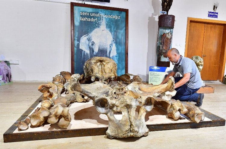 Pak Bahadır efsanesi müzede