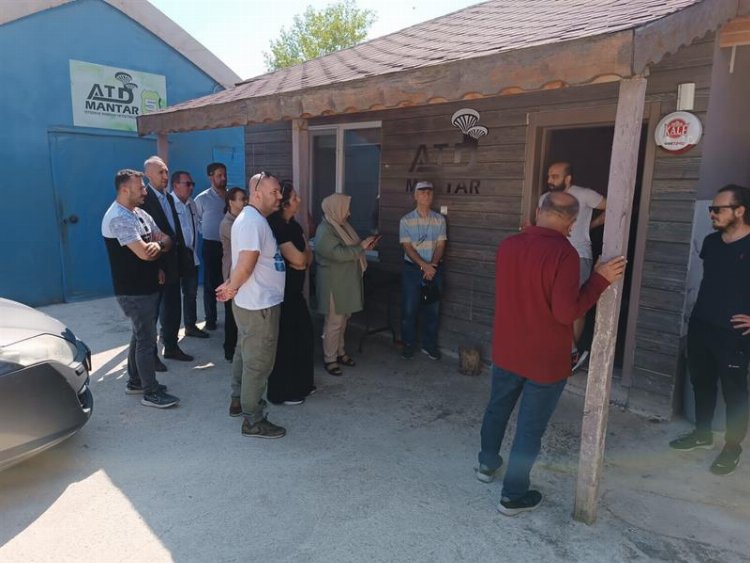Bursa’da mantar yetiştiricileri kursiyerlerine teknik gezi