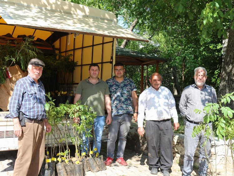 Çiftçilerin fidan sevinci! Taşı taşı bitmedi