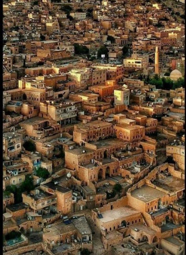 “Mardin Tarihi Dönüşüm İdaresi Başkanlığı Kurulmalı ”