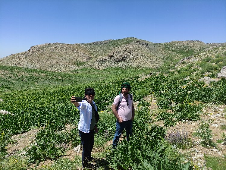 Sason Zoveser Dağı’na yoğun ilgi
