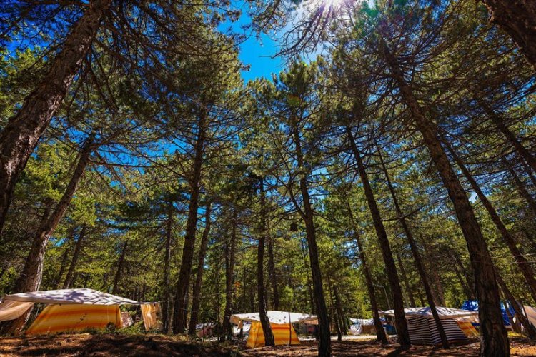 Sıcaktan bunalan Kefe’ye koşuyor