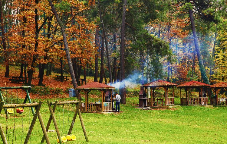 Üniversite gençliğinin ilk tercihi Sakarya