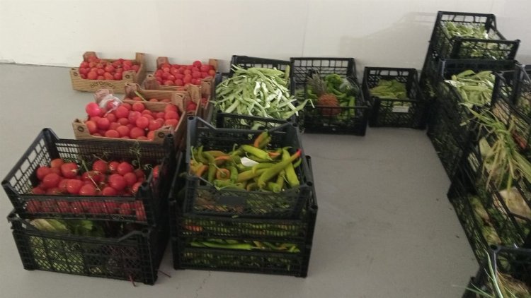 Bodrum’da ‘Gıda Bankacılığı’ uygulaması